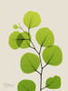 Natural Greenery 3 Poster Print by Albert Koetsier # AK8RC076C