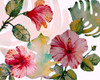 Tropical Hibiscus 1 Poster Print by Boho Hue Studio Boho Hue Studio # BHSRC022A