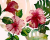 Tropical Hibiscus 2 Poster Print by Boho Hue Studio - Item # VARPDXBHSRC022B