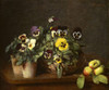 Still Life With Pansies Fine Art