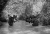 Vietnam War. Us Marines Move Through Water In Quang Tri Province During Operation Hastings. During The Reconnaissance History - Item # VAREVCHISL033EC535