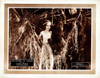 The Adventures Of Tarzan Portrait