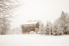 First Snow Poster Print by Aledanda - Item # VARPDX38290