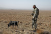 Us Soldier Works With A Dog Identified As Staff Sgt. Bear A Working Dog Searching For Land Mines At Bora Jengi Zabul Province Afghanistan. Dec. 23 2010. History - Item # VAREVCHISL028EC281