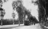 California History - Item # VAREVCHCDLCGCEC068