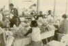 Woman Making Stuffed Animals At The People'S Temple Agricultural Project. Jonestown History - Item # VAREVCHISL034EC378