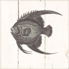 Fish Sketches Iv Shiplap Poster Print by Wild Apple Portfolio - Item # VARPDX36264