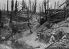 World War 1. Somme Offensive. A Few Allied Soldiers Soldiers Occupy Entrenchments And Dugout Bunkers In The Shell Blasted Wood Called Des Fermes In The Somme. Ca. 1916. History - Item # VAREVCHISL043EC930