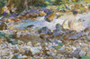 Mountain Stream Fine Art - Item # VAREVCHISL045EC355