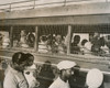 Jewish Bus Traveling Between Villages In Palestine. Its Windows Are Screened To Protect Against Rocks Or Others Missiles Thrown At The Bus. Sept. 15 History - Item # VAREVCHISL036EC128