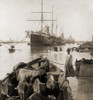 Cattle In A Small Boat Destined To Provide Beef For The Ocean Liners Anchored In The Suez Canal Port Said. 1900. Lc-Usz62-103021 History - Item # VAREVCHISL022EC229