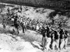 92553--South Korea Some 40 North Korean Prisoners Are Led To A Prison Camp After Having Been Flushed Out Of Corn Fields In The Han River Area During The Drive For Seoul.. Courtesy Csu Archives  Everett Collection History - Item # VAREVCHBDKORECS001