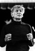 Leonard Bernstein History - Item # VAREVCPBDLEBECS007