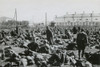 Soviet Prisoners Of War In A Camp At Potschuz History - Item # VAREVCHISL037EC680