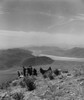 U.S. Marines Look Out Over Naktong River Area In South Korea. The Hilltop Was Their Battle Objective. Aug.-Sept. 1950. Battle Of Pusan Perimeter. Korean War History - Item # VAREVCHISL038EC244