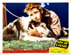 Son Of Lassie Portrait - Item # VAREVCMSDSOOFEC082