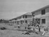 Houses Under Construction At The Navy Defense Housing Project For Enlisted Men In The Marines And Navy. San Diego History - Item # VAREVCHISL021EC176
