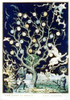 The Tree Of Death - The Sinner History - Item # VAREVCHCDLCGBEC693