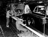 Men Work On The Assembly Line At A Volkwagen Factory History - Item # VAREVCSBDCARSCS020