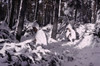 U.S. Infantrymen Wear White Capes Over Their Uniforms In Battle Of The Bulge. The White Camouflage Capes Were Made Out Of Mattress Covers And Linen Collected From The Civilians. Dec. 12 History - Item # VAREVCHISL037TX272