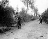 U.S. Infantry Fighting In The Hedgerows Of Normandy. The Walls Of Stone History - Item # VAREVCHISL037EC242