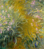 The Path Through The Irises Fine Art - Item # VAREVCHISL044EC627