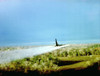 Vietnam War History - Item # VAREVCHCDARNAEC050