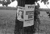 Campaign Posters History - Item # VAREVCHCDLCGBEC939