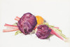 Red Cabbages Fine Art - Item # VAREVCHISL045EC171