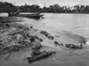 Dead Japanese Soldiers And Their Destroyed Landing Boat On The Beach Of Buna Mission. New Guinea. March 1943. History - Item # VAREVCHISL036EC545
