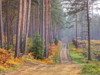 Road Through Autumn Forest Poster Print by Assaf Frank - Item # VARPDXAF20161101108X