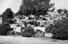 Tent City In Jefferson Square History - Item # VAREVCHISL046EC203