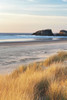 Dune Grass And Beach I Poster Print by Dennis Frates - Item # VARPDX70054