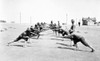 U.S. Soldiers In Bayonet Fighting Practice. Camp Bowie History - Item # VAREVCHISL034EC525