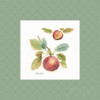 Orchard Bloom Iv Border Poster Print by Lisa Audit - Item # VARPDX22798