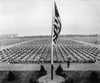 A Bugler Plays Taps On Memorial Day At Margraten Cemetery History - Item # VAREVCHISL037EC567