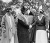 First Lady Florence Harding Shaking Hands With Tennis Champion History - Item # VAREVCHISL041EC035