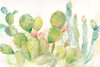 Cactus Garden Landscape Poster Print by Cynthia Coulter - Item # VARPDXRB12060CC