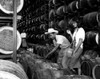 Oak Casks Of Jamaican Rum. Ca 1960S. Courtesy Csu ArchivesEverett Collection. History - Item # VAREVCSBDJAMACS002