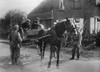 World War 1. Belgian Peasants In A Horse-Drawn Cart History - Item # VAREVCHISL034EC838