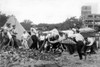 Bonus Army Veterans Battle With Washington Dc Police. Police Were Ordered To Evict The Men But Required Help From The Army To Complete The Operation. July 28 History - Item # VAREVCCSUA001CS747