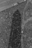 Aerial View Of Marchers In The Shadow Of The Washington Monument At The March On Washington. August 28 History - Item # VAREVCHISL040EC402