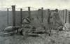 Russian Ww1 Soldiers Who Died Entangled In Battlefield Barbed Wire. 1917. History - Item # VAREVCHISL034EC958