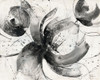 Bold Iii Poster Print by Albena Hristova - Item # VARPDX35845