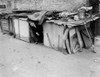 A Man Living In A Shack Off Broadway History - Item # VAREVCSBDNEYOCS030