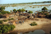 Communities In Flood Ravaged Areas Of The Sindh Province Pakistan Sept 5 2010. History - Item # VAREVCHISL027EC224