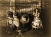 Woman Circus Performer Named Adjie Seated In A Cage With Three Lions. 1899. History - Item # VAREVCHISL007EC387