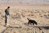 Us Soldier Works With Bear A Military Working Dog Searching For Land Mines At Bora Jengi Zabul Province Afghanistan. Dec. 19 2010. History - Item # VAREVCHISL028EC280