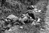 Three Dead U.S. Airborne Troops In A Ditch Near Sainte-Marie-Du-Mont History - Item # VAREVCHISL037EC141