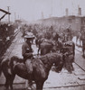 Rough Riders Arrival At Tampa History - Item # VAREVCHISL045EC427